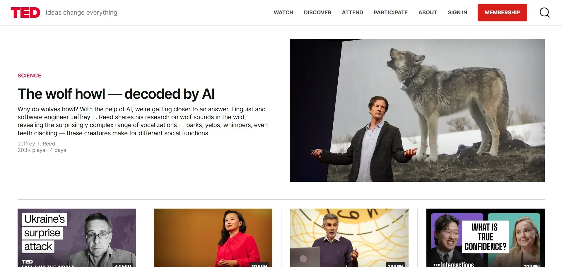 A screenshot of the TED website featuring a science article with a wolf image and video thumbnails, showcasing inclusive web design practices in 2025. The clean layout and visual cues demonstrate how to design websites everyone can use with ease.